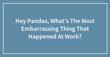 Hey Pandas, What’s The Most Embarrassing Thing That Happened At Work?