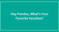 Hey Pandas, What’s Your Favorite Vacation?