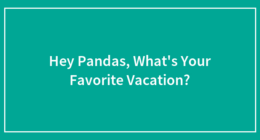 Hey Pandas, What’s Your Favorite Vacation?