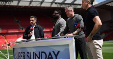 Sky Sports pay billions to screen the Premier League and have their own in-house team to crack down on piracy