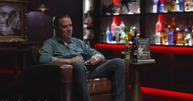 Hunter Biden said he was against open borders and illegal migration in an apparent shot at his father Joe Biden's presidency in a wide-ranging interview