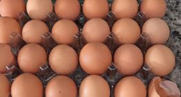 As the camera moved from egg to egg, viewers watched him crack shell after shell, only to be met with nothing inside