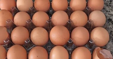 As the camera moved from egg to egg, viewers watched him crack shell after shell, only to be met with nothing inside