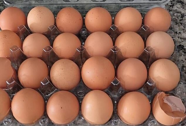 As the camera moved from egg to egg, viewers watched him crack shell after shell, only to be met with nothing inside