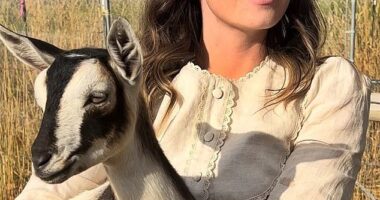 A doomsday prepper has shared her top tips to surviving any emergency after the Living Nostradamus' chilling predictions for 2026 were revealed