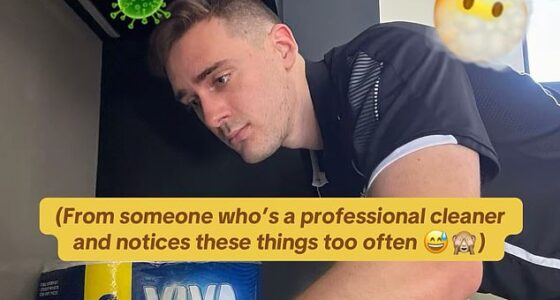 Australian cleaning expert, Jason Shipway, has revealed the seven items in your home that are dirtier than you think, and the commonly overlooked spots could be quietly sabotaging your home's freshness and spreading germs