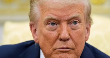 Indiana Republicans Betray Trump on Redistricting, Reject Map Favorable to GOP – RedState