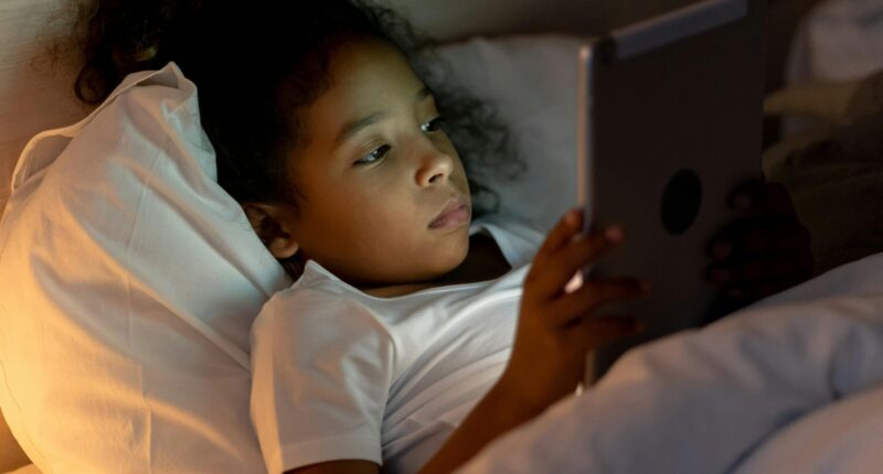 Indiana Sues Pornhub For Allegedly Targeting Minors With Filth