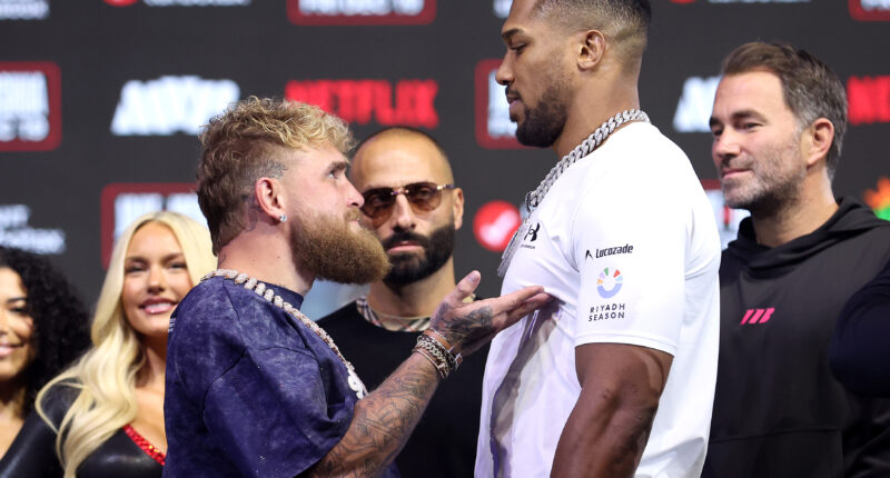 Jake Paul vs. Anthony Joshua Purse & Payout: How Much Money Will the Fighters Make?