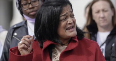 Jayapal and Friends Trying to Spring Illegals From Detention WIth Taxpayer Funded Lawyers – HotAir