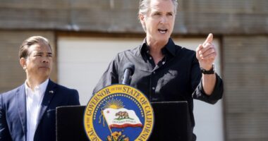 Judge Delivers Major Blow to CA's Anti-Parent Regime, Rules 'Lying Teacher' Law Unconstitutional – RedState