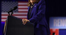 Kamala Harris has shared some sage dating advice for the younger generation - but not everyone is on board (pictured in 2024)