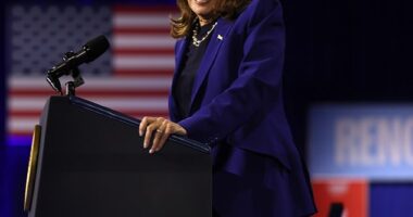 Kamala Harris has shared some sage dating advice for the younger generation - but not everyone is on board (pictured in 2024)