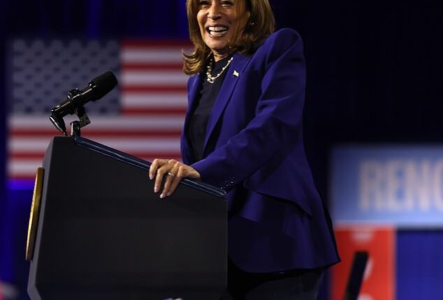 Kamala Harris has shared some sage dating advice for the younger generation - but not everyone is on board (pictured in 2024)