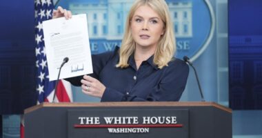 Karoline Leavitt Lays Out the Receipts of Joe Biden's Afghan Imports – RedState