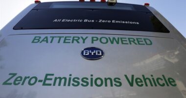 Kathy Hochul Loves Little Frozen Fingers and Toes – HotAir