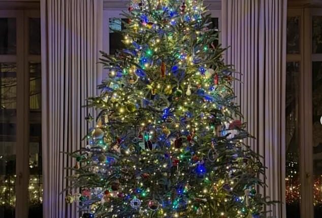 Kelly Ripa has shown off the stunning Christmas decorations inside her luxury New York City condo. There was a massive Christmas tree with multicolored ornaments and a red tree skirt shown at night with the curtains pulled open