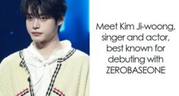 Kim Ji-woong: Bio And Career Highlights