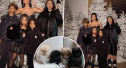 Kim Kardashian called out by PETA for gifting kids four dogs for Christmas: 'Puppies are not plushies'