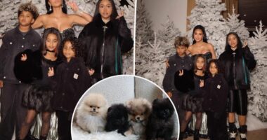 Kim Kardashian called out by PETA for gifting kids four dogs for Christmas: 'Puppies are not plushies'
