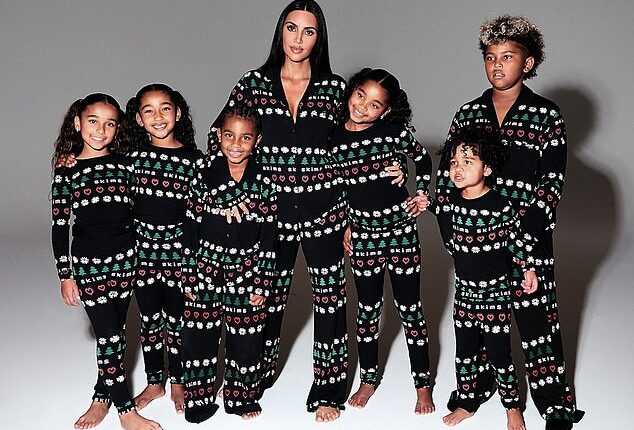 Kim Kardashian has been slammed by fans after she revealed she gave each of her four children a Pomeranian puppy for Christmas