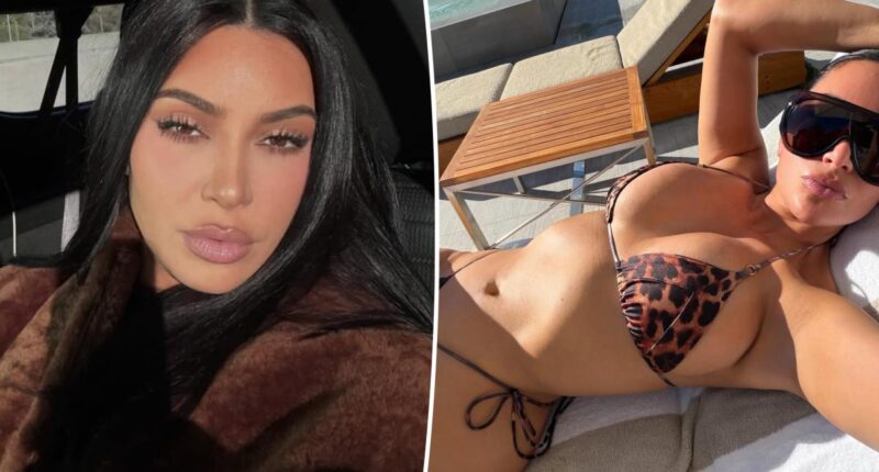 Kim Kardashian soaks up the sun in a tiny leopard print string bikini
