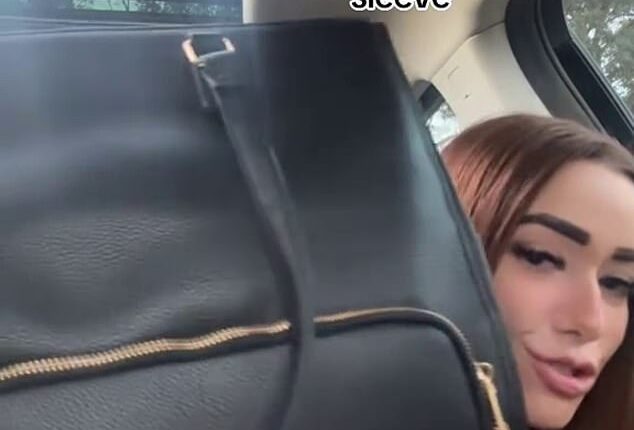 Sydney-based content creator Karly Louise raved about the new office handbag from Kmart