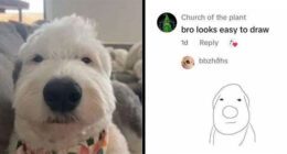 “Know Your Meme”: 80 Hilarious Memes That Might Bring Some Sunshine To Your Day