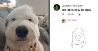 “Know Your Meme”: 80 Hilarious Memes That Might Bring Some Sunshine To Your Day