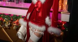 Lily Allen set temperatures soaring on Saturday despite the freezing cold weather, as she pulled out all the stops to host a glitzy Christmas bash at famous London gentleman's club, Stringfellows