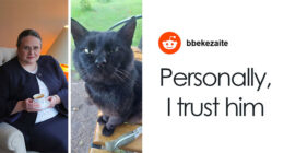 Lithuania Nears Law Requiring Lawmaker’s Cat’s Consent to Fire National Broadcaster Head