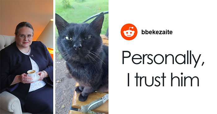 Lithuania Nears Law Requiring Lawmaker’s Cat’s Consent to Fire National Broadcaster Head