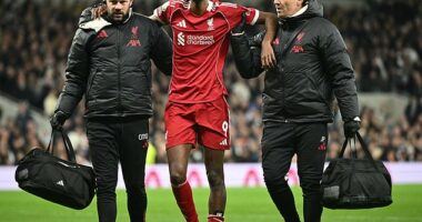 Liverpool striker Alexander Isak has undergone surgery to repair a fracture to his left leg