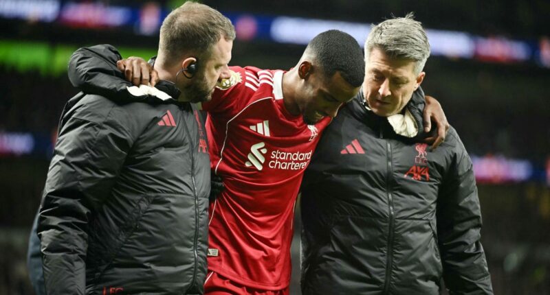 Liverpool reveal devastating Alexander Isak injury blow as worst fears realised