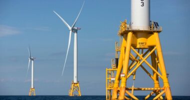 MA Judge Rules Trump's Offshore Wind Ban 'Contrary to Law' – HotAir