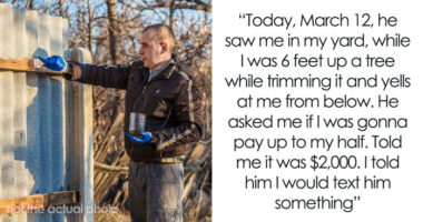 Man Refuses To Cough Up $2000 After Neighbor Replaces His Rotten Fence Without Any Agreement
