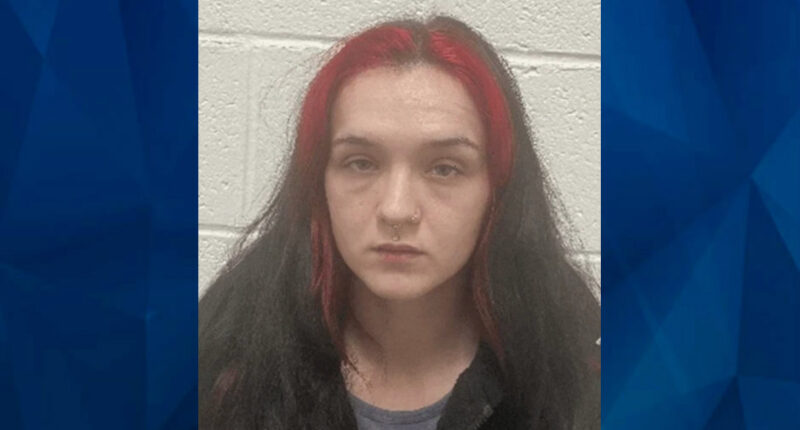 Maryland Mom Charged With Murder of 5-Month-Old Daughter After Night of Drinking