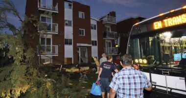 Massive Increase in Demand for Rentals Driven by Influx of 'Foreign-Born Population,' Says HUD – RedState