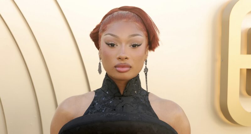 Megan Thee Stallion Reportedly Wins Defamation Case Against Milagro Gramz