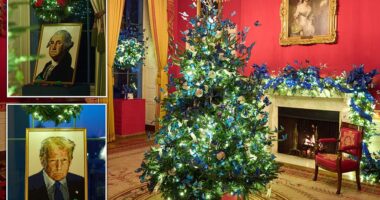 It's Christmas at the White House and this year's decorations are truly on theme with President Donald Trump 's America First slogan. The festive decor pays homage to the upcoming 250th anniversary of the signing of the Declaration of Independence. Trump claims it's fate that the year-long celebration is happening during his second term. The official theme unveiled by the office of the First Lady is 'Home Is Where The Heart Is.'