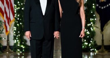 President Donald Trump and First Lady Melania have released their annual Christmas photo - but some have pointed out that it doesn't exactly look like they're in the holiday spirit in it