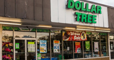 Most of Dollar Tree’s new customers are making more than $100,000 a year