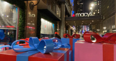 Mother Stabbed by Homeless Maniac at Macy's While Changing Baby.