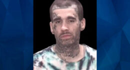 NC Man Carjacks Ambulance, Crashes It Into Car, Kills Woman Driving the Car