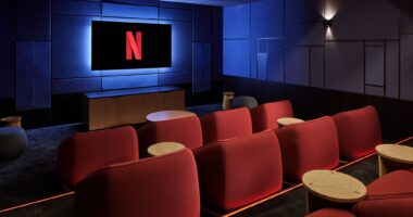 Netflix CEO's Theater Take Isn't Democratic, It's Out of Touch