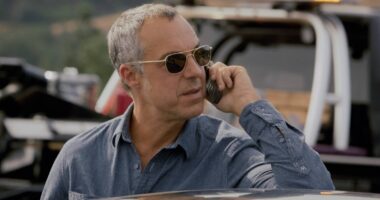 Netflix’s Gritty Bosch & Reacher Replacement Is Here