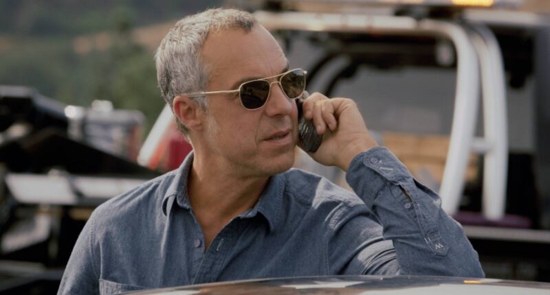 Netflix’s Gritty Bosch & Reacher Replacement Is Here