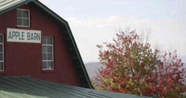 New Poll Says Local Officials See Political Polarization, Too