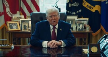 Donald Trump's latest event announced for America's 250th birthday is drawing comparisons to the dystopian science fiction blockbusters The Hunger Games