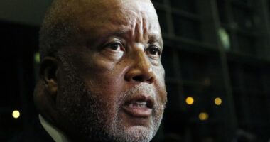 No, Congressman Thompson, Ambush and Murder Are Not an 'Unfortunate Accident' – RedState